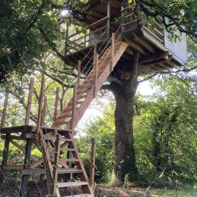 escalier Cabane du rocher